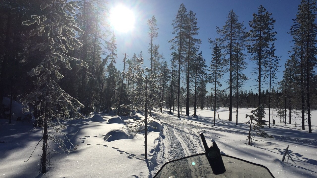 Lapland Film Experience – Dag 2